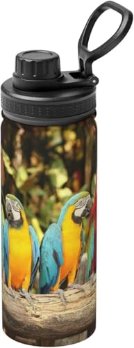 CR IE   ^fM ۉ ۗ X|[c{g lC XeX{g X|[cΉ RȂ 530ml j̎q ̎q  l q Aj ObY LN^[ v[g v6gb173