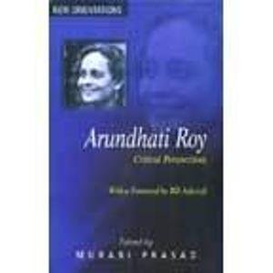 Arundhati Roy: Critical Perspectives: with a Foreword by Bill Ashcroft