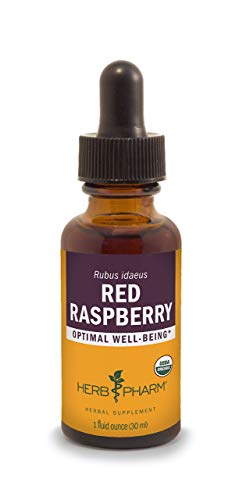 Raspberry Extract (Rubus idaeus)