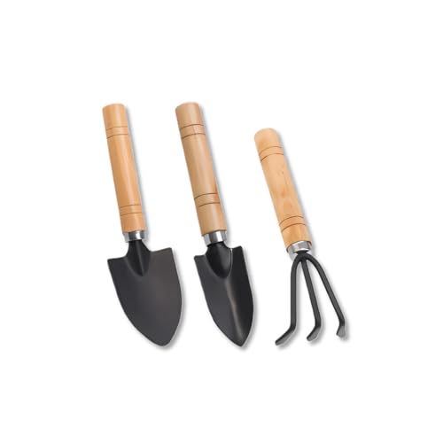 Kit Ferramentas de Jardinagem 3 Peças – Madeira e Aço Resistente ...