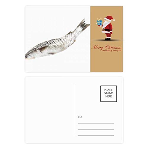 Cartes postales Père Noël Blanc Ocean Fish pour partager vos vœux les plus doux