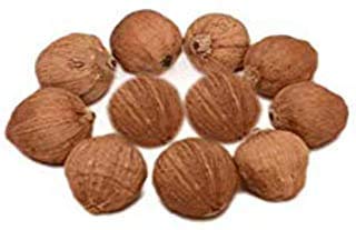 Puravedic Laghu Nariya/Sriphal 11PCS for Wealth and Prosperity