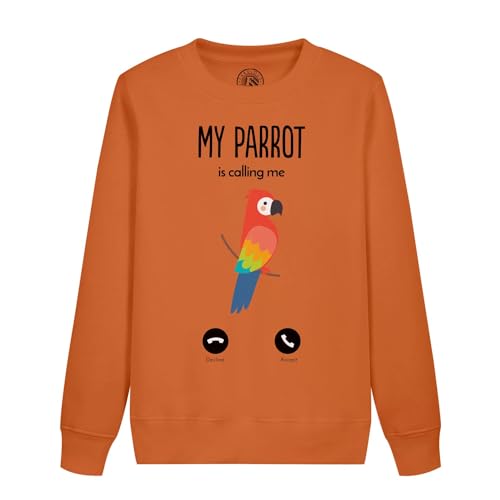 Sweatshirt enfant Mon Perroquet m'appelle oiseau pull manches longues