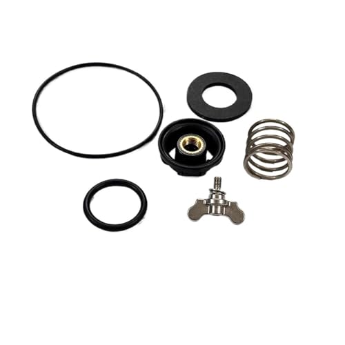 Kit de réparation de buse centrifuge T40 T20p pour drone