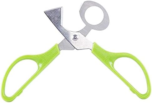 Kitchen Scissors Kitchen Shears Green Stainless Steel Bird Egg Kitchen Knife Cooking Egg Accessories Poultry Shears