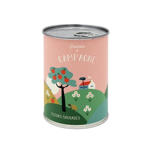 Graines de fleurs sauvages : kit de semis ultra simple