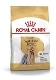 yorkshire terrier welpen erziehung BHN Yorkshire Ad 3kg ROYAL CANIN BHN Yorkshire Ad 3kg