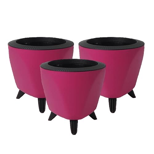Image of Garden Art Self Watering Pots Planter for Plants - 5.1 Inch, Round, Set of 4(PPLAP) Pink