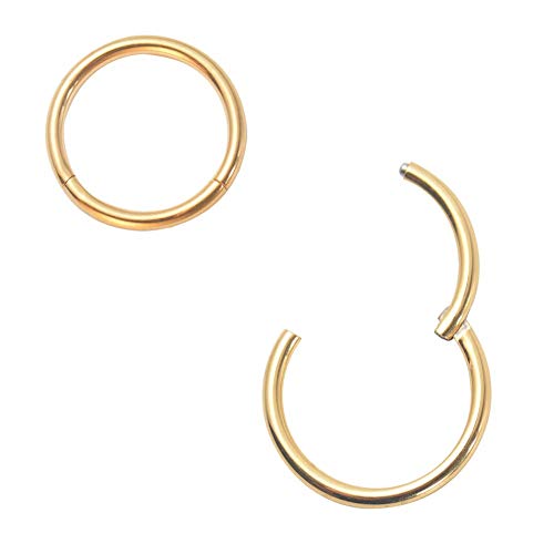 Afftiny Gold Nose Rings Hoops For Women Hypoallergenic Titanium Surgical Stainless Steel Cute Hinged Clicker 18G 6Mm Small Cartilage Piercing Ring For Helix thumb #7