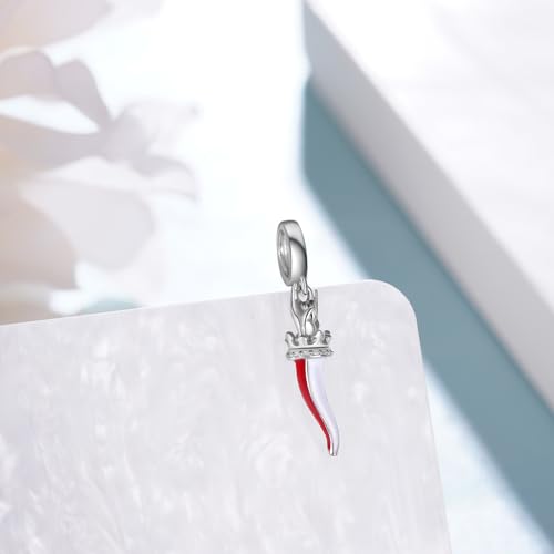 Italian Luck Charm for Bracelet 925 Sterling Silver Horn Dangle Pendant Charm Cornicello Jewelry Gifts for Women Men2
