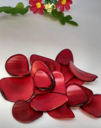 20 Tagua Red Slices Curved - Nail Shape from Colombia Rainforest. Undrilled. Size: 3.5 x 2.5 cm. Approx.