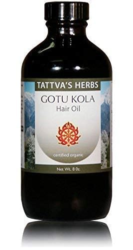 Miniatura 2 de Tattva's Herbs Gotu Kola & Brahmi Hair Oil 8oz - Tratamiento ayurvédico para el cuero cabelludo para el crecimiento del cabello
