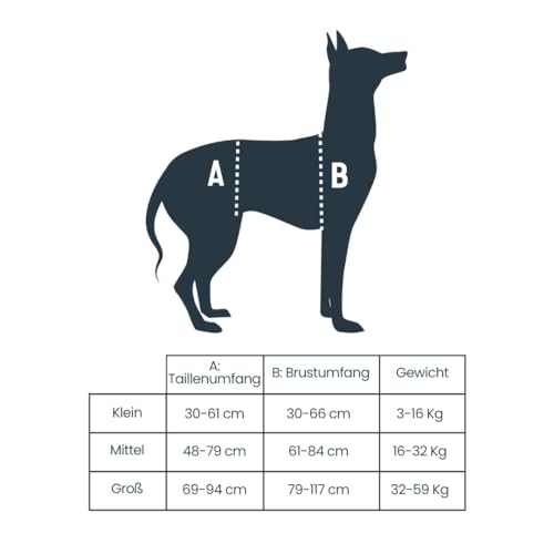 PetSafe Carelift, Unterstützungsgeschirr für Hunde, Ganzkörper-Hebehilfe mit Griff, für behinderte oder ältere Hunde, komfortabel, atmungsaktiv, einfach verstellbar, M