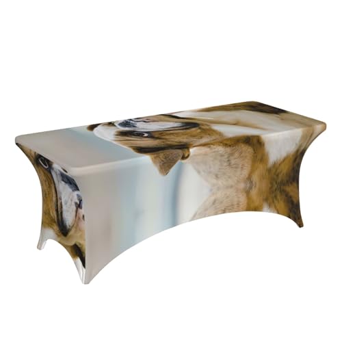 Nappe rectangulaire extensible élasthanne bouledogue table 1,8m buffet