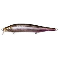 新品　絶版　メガバス　ito'sカスタム　ggテネシー ITO SHINER SSR(ITOシャイナーSSR) GG パーチ ルアー | Megabass