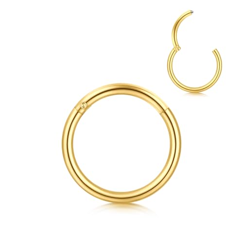 Image of AVYRING Hypoallergenic Nose Rings 316L Surgical Steel Silver Gold Nose Hoops 18g 20g 16g Septum Ring Hinged Clickers Seamless Helix Cartilage Conch Earrings Hoop for Women Men 6mm 7mm 8mm