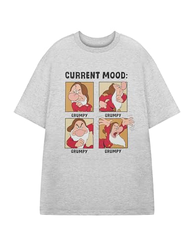 Graphic Tee Blanche-Neige Disney Vêtement Film Rétro Homme Gris