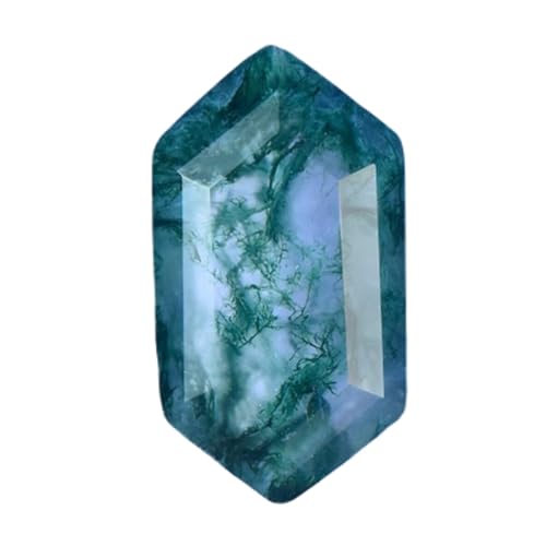 Agate naturelle mousse hexagone 8x14mm pour faire un pendentif ou collier DIY