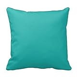 Decors Ocean Breeze Aqua Teal Blue Solid Color Backround Throw Pillow Case Cushion Cover Home Sofa Decorative 16 X 16 Squares Case Cushion Cover Home Sofa Decorative 16 X 16 Squares (Twin Sides)