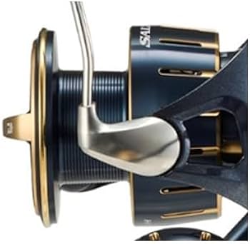 Amazon | ダイワ 23ソルティガ 純正スプール (4000-XH(6M376301 Amazon | ダイワ 23ソルティガ 純正スプール (4000-XH(6M376301