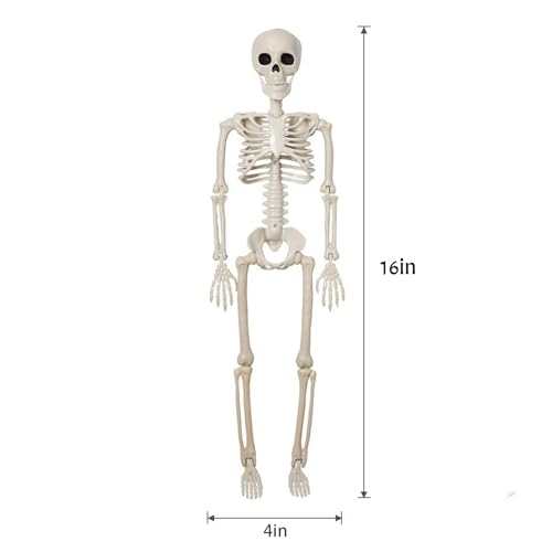 5-Pack-Halloween-Skeleton-Decoration16-Full-Body-Posable-Skeleton-Realistic-Human-Bones-with-Posable-Joints-for-Halloween-Pose-Prop-Decor-Yard-Lawn-Garden-Patio-Outdoor-Haunted-House-Decorations