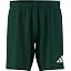 Team Dark Green / White