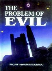 Paperback The Problem of Evil Book