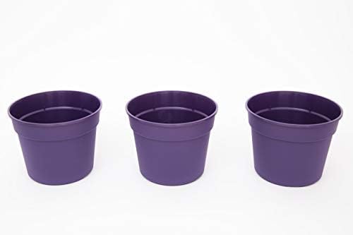 Matri - Plastic Planter Pot - 21cm -8.5 inch - 3 Pack (Violet)