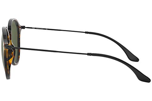 Ray-Ban RB2447 Round Sunglasses3