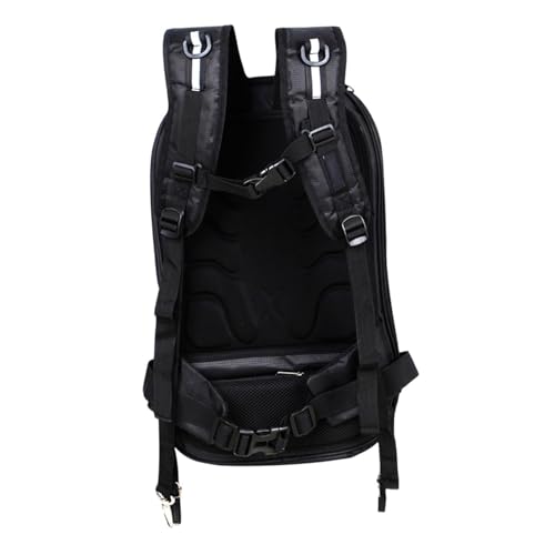 Mozart Horn Concerto No. 2, K. 417