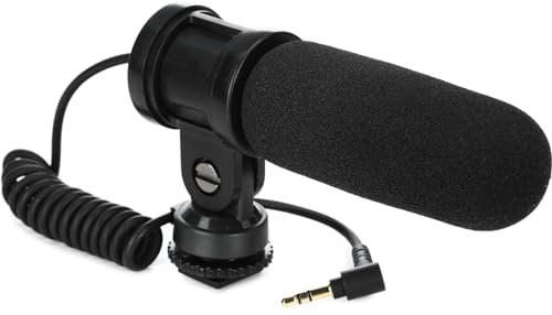 VIDEO MIC MS