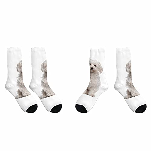 Image of Pehede Socks Mens Fun Dress Socks for Women Funny Novelty Crazy Design Socks