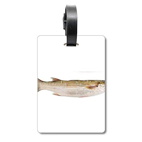 Étiquette d'identification pour valise de voyage ocean fish bleu marine