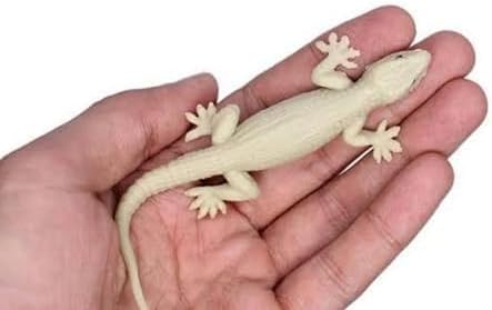 Girlyz Attire Fake Lizard House Gecko Rubber Practical Jokes And Prank Trick Toys (Pack Of 2 Lizrad)-Multicolor For Kids