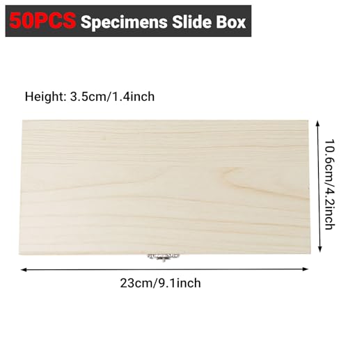 Objektträger, 50PCS Biologie Glas Vorbereitete Objektträger Proben Probenaufbewahrungsbox für Holzobjektträger mit Umweltfreundlicher, Ungiftiger und Geruchsneutraler Aufteilung