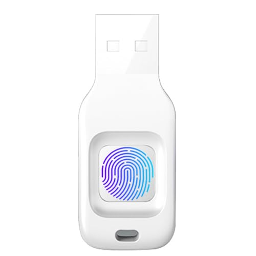 Clé USB 3.2 à empreintes digitales, clé USB cryptée de 256 Go, clé USB, protection de sécurité biométrique, clé USB pour PC, smartphone, ordinateur...