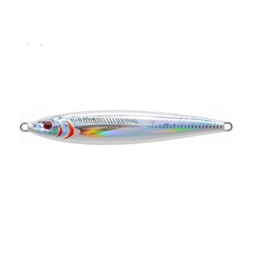 HUFFA 30g 40g 60g Metal Jig 3D Printing Bass Fish Bait Tackle Trout Shore Drag Cast Sea Fishing Tuna Slow Jigging Lure Jigs (Color : 01, Size : 30g)