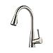 Brizo 63070LF-SS Venuto Kitchen Faucet Single Handle Deck Mount Pull-Down Spray with Magnedock Technology, Stainless Steel