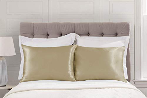 Image of BLISSFORD Luxury Satin Pillowcase for Hair - Queen Satin Pillowcase with Zipper, Champagne (1 per Pack)