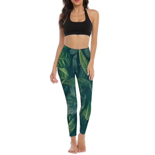 Anceky Mallas Deportivas de Cintura Alta para Mujer, Control de Abdomen (S-2XL)