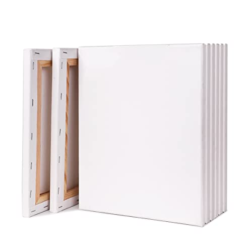 F3 8枚 セット キャンバス 張りキャンバス キャンバス画材 canvas 油絵・アクリル絵に適用 (273mm*220mm*8枚)の商品画像（Amazon）