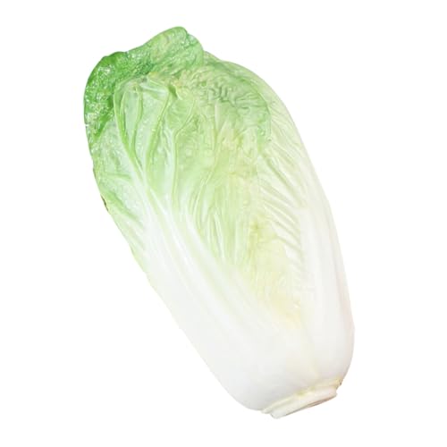 KAILIKETIY ?^ؖ͌^ yʃ|[^u ؃IuWF CeAfBXvC Xܑ Bep ƗpXg