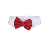  QHGstore Ropa Lazo perro de perrito lindo gato de la manera del Bowknot pajarita para el pequeño perro S