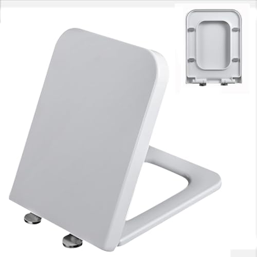 Brigtviee Tapadera De WC con CaíDa Amortiguada,Taza WC Cuadrado,Tapa Water RectáNgulo Asiento Y Tapa, FijacióN Superior, Bisagras Ajustables De LiberacióN RáPida,Blanco,Square,04F