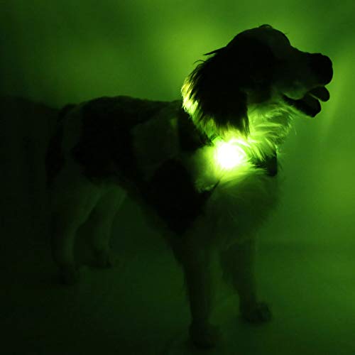 LEUCHTIE® Plus Leuchthalsband Hund batteriebetrieben, wasserdichtes LED Halsband, Hundehalsband Leuchtend mit 100 h Leuchtdauer, enorm hell, neongrün Größe 50