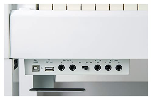 Classic Cantabile UP-1 WH Piano Droit Numérique – 88 Touches pondérées avec clavier à marteaux – Synthetiseur avec USB… - Les Beatles, Paul McCartney, John Lennon, RIngo Starr, George Harrison Classic Cantabile UP-1 WH Piano Droit Numérique - 88 Touches pondérées avec clavier à marteaux - Synthetiseur avec USB… – Image 6