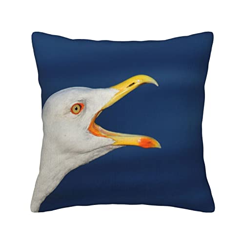 Housses de coussin velours côtelé mouettes pour rénover canapé