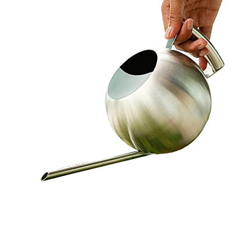 HEMOTON Regador de bico longo de aço inoxidável para plantas, água e regador, balde de metal para ja