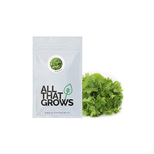 AllThatGrows Parsley/Ajmod Herb Leafy Vegetable Gardening Seeds Pack