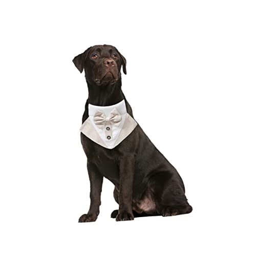 Pañuelo y Collar con Pajarita Elegante para Perros Khaki XL miniatura 6